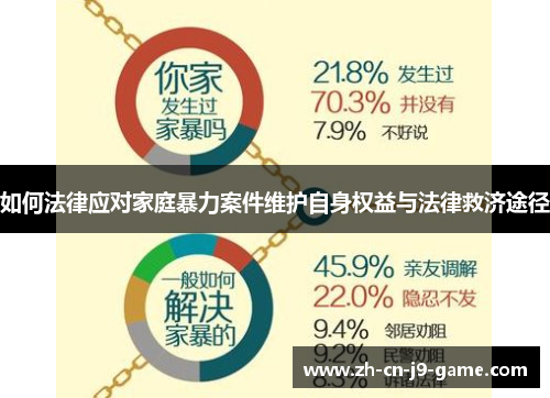 如何法律应对家庭暴力案件维护自身权益与法律救济途径