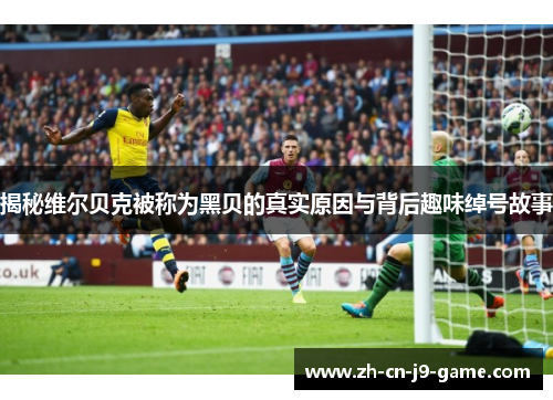 揭秘维尔贝克被称为黑贝的真实原因与背后趣味绰号故事 揭秘维尔贝克被称为黑贝的真实原因与背后趣味绰号故事