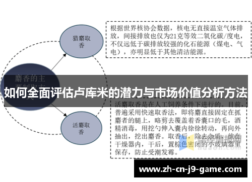 如何全面评估卢库米的潜力与市场价值分析方法 如何全面评估卢库米的潜力与市场价值分析方法
