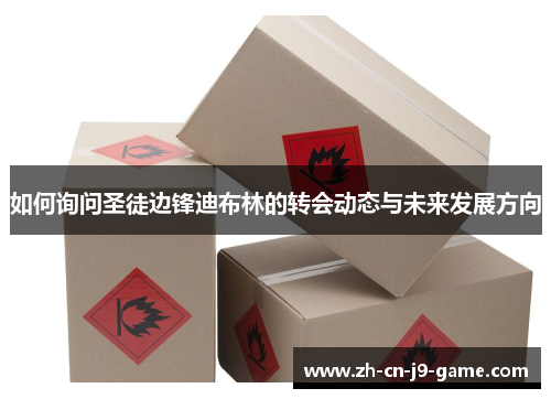 如何询问圣徒边锋迪布林的转会动态与未来发展方向