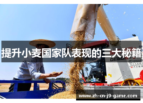 提升小麦国家队表现的三大秘籍 提升小麦国家队表现的三大秘籍