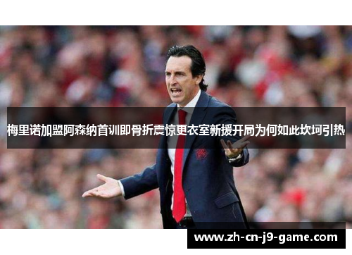 梅里诺加盟阿森纳首训即骨折震惊更衣室新援开局为何如此坎坷引热